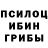 Псилоцибиновые грибы Psilocybe Olfreed Lodbrok
