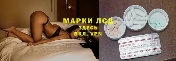 молекула духа Заволжье