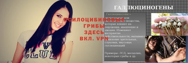 гашик Заводоуковск