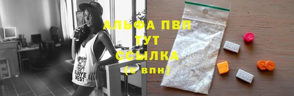 гашик Заводоуковск
