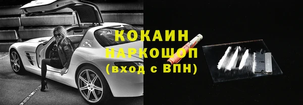 гашик Заводоуковск