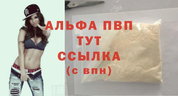 молекула духа Заволжье