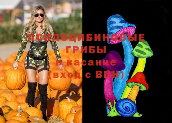 молекула духа Заволжье