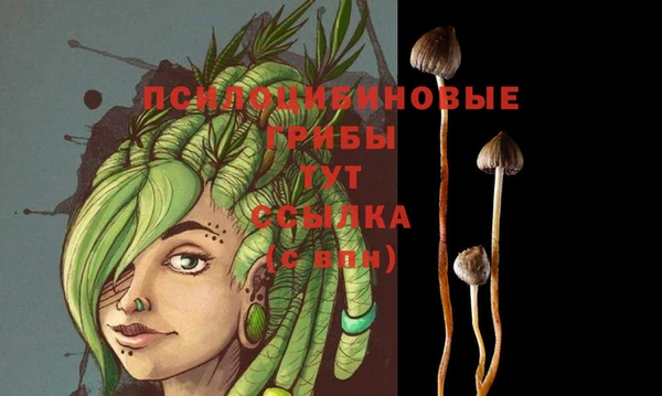 гашик Заводоуковск