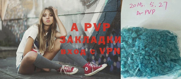 молекула духа Заволжье
