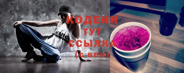 гашик Заводоуковск