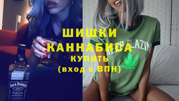 молекула духа Заволжье