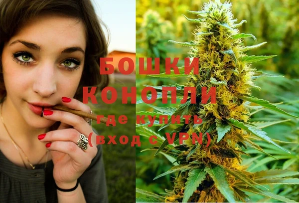 молекула духа Заволжье