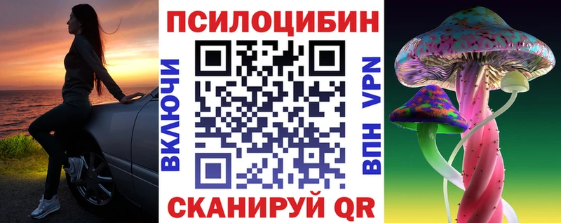 Купить закладки Костомукша Галлюциногенные грибы Psilocybine cubensis